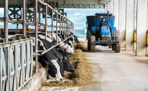 Programa da Conab injeta recursos no setor, mas não resolve impacto do leite importado. Dalia