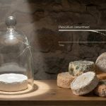 🧬 Clonado há mais de um século, o mofo do Brie perde força genética e acende alerta na indústria.