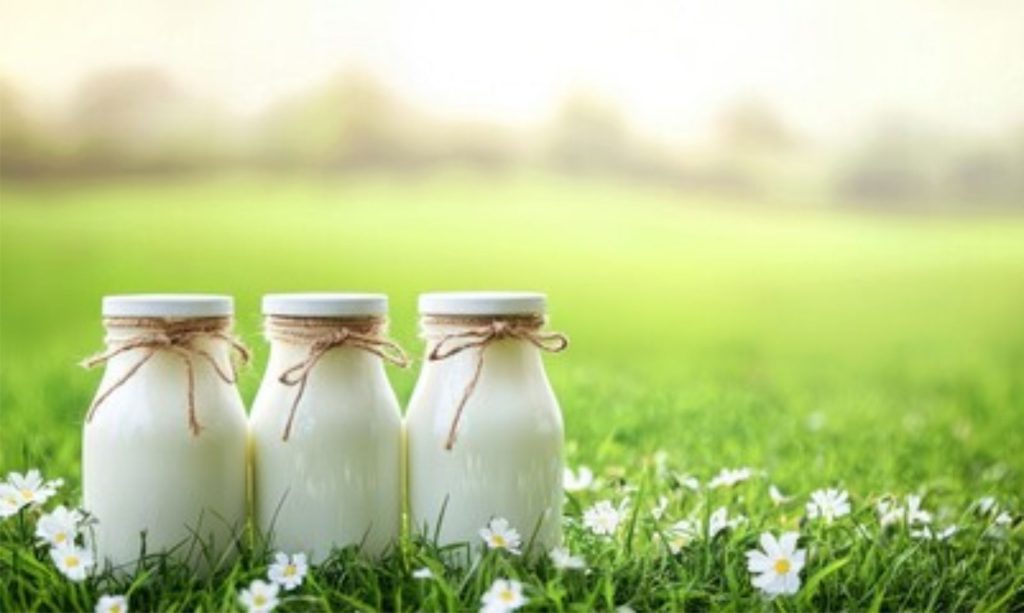 📊 Decisão judicial amplia exigências regulatórias e de informação pública sobre hormônios no leite produzido no Triângulo Mineiro.