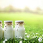 📊 Decisão judicial amplia exigências regulatórias e de informação pública sobre hormônios no leite produzido no Triângulo Mineiro.