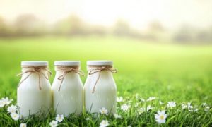 📊 Decisão judicial amplia exigências regulatórias e de informação pública sobre hormônios no leite produzido no Triângulo Mineiro.