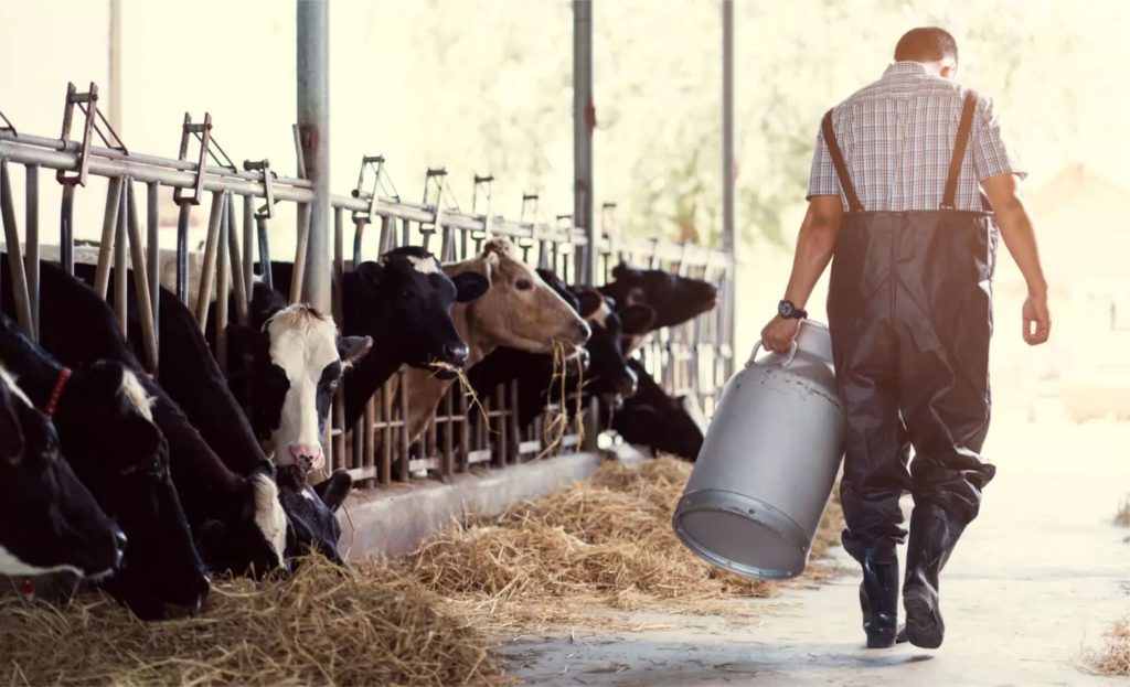 🧠 A combinação de oferta robusta, importações persistentes e consumo lento mantém o preço do leite sob forte pressão.