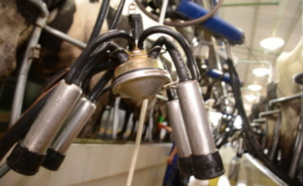 O recuo do preço do leite expõe um descompasso estrutural entre oferta, consumo e política setorial no início de 2026 📉