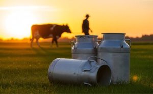 🥛 Em 2025, as exportações lácteas uruguaias bateram recorde histórico, com o leite em pó respondendo por 70% da receita total.
