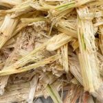 Bagaço de cana no leite: por que deve ficar abaixo de 5% 🐄 2 No leite, o bagaço de cana atua na saúde ruminal — não como base nutricional, explica consultor 🧠