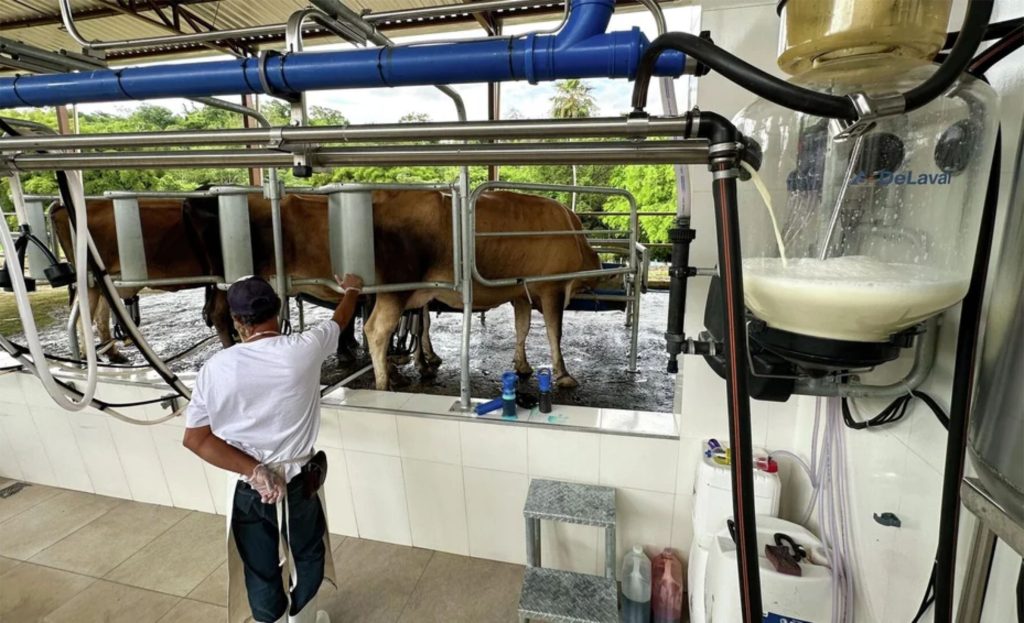 Com apoio no Conselho Europeu, o acordo Mercosul-UE entra na fase final e reacende temores em setores estratégicos do agro brasileiro 🌍