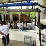 Com apoio no Conselho Europeu, o acordo Mercosul-UE entra na fase final e reacende temores em setores estratégicos do agro brasileiro 🌍