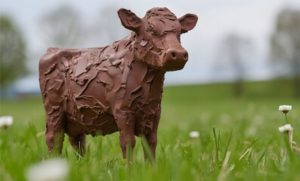 🥛 Cerca de 16 milhões de americanos associam o achocolatado à cor da vaca, segundo levantamento sobre a origem dos alimentos.