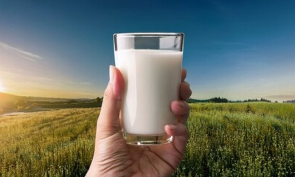 Consumo de proteína atinge novos patamares e reposiciona o dairy além da gôndola tradicional 🥛