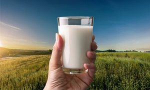 Consumo de proteína atinge novos patamares e reposiciona o dairy além da gôndola tradicional 🥛