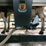 Pressão por eficiência e falta de mão de obra aceleram a adoção da ordenha automática no campo 🚜