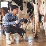 🥛 Resultados da pecuária leiteira no Paraná mostram impacto direto da gestão e da assistência rural.