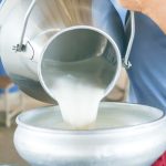 ⚠️ O produtor teve algum alívio nos insumos, mas o preço do leite caiu quase cinco vezes mais que os custos em 2025.