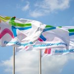 FrieslandCampina: como uma cooperativa virou potência global do leite 🧀 2 FrieslandCampina alia cooperativismo, ingredientes e nutrição para crescer em mais de 100 mercados 🤝