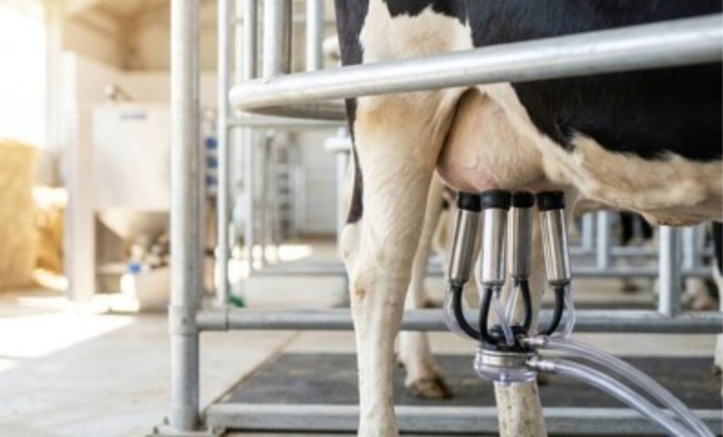 ⚙️ Nova proposta para a cadeia do leite busca reduzir vulnerabilidades com financiamento, política de preços e estratégia de competitividade externa.