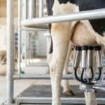 ⚙️ Nova proposta para a cadeia do leite busca reduzir vulnerabilidades com financiamento, política de preços e estratégia de competitividade externa.