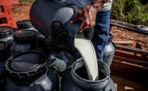 Custos operacionais totais atingem R$ 2,39 por litro e pressionam a margem do leite no estado ⚠️