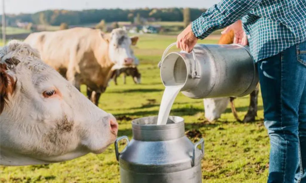 Mercado de leite busca reequilíbrio em 2026, diante de excesso de oferta e importações ainda relevantes 🌎