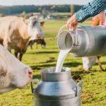 Mercado de leite busca reequilíbrio em 2026, diante de excesso de oferta e importações ainda relevantes 🌎