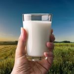 ⚖️ Medida propõe barrar o processamento de leite em pó importado, com multas e apreensão de lotes, e reacende o debate sobre concorrência e transparência.