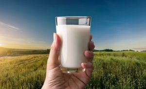 ⚖️ Medida propõe barrar o processamento de leite em pó importado, com multas e apreensão de lotes, e reacende o debate sobre concorrência e transparência.