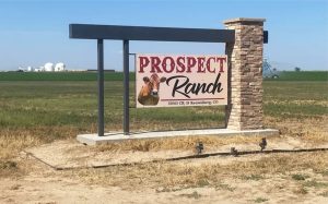 Caso em laticínios reforça risco de gases invisíveis na produção 🧪