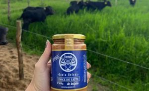 ✨ Criado na pandemia, o doce de leite de búfala virou novo fôlego para produtoras rurais paraibanas.