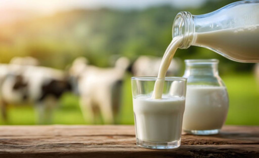 🌎 Região considerada ideal para produzir leite discute união cooperativa para transformar volume em escala industrial. Cooperativismo