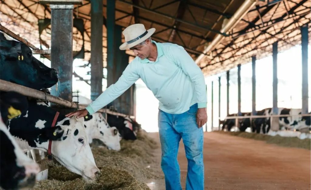 Programa Nature por NINHO amplia adoção de práticas de bem-estar animal e acelera a agenda de pecuária regenerativa.