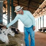 Programa Nature por NINHO amplia adoção de práticas de bem-estar animal e acelera a agenda de pecuária regenerativa.