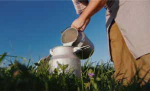 🔎 O leite ao produtor caiu 23% no fim de 2025 em Goiás, enquanto o GDT inicia 2026 em recuperação gradual.