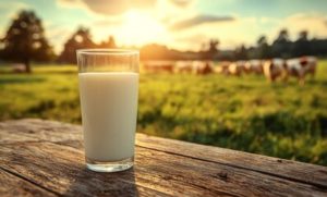 Setor lácteo pede salvaguardas no Acordo Mercosul-UE para evitar desequilíbrios competitivos 🔍