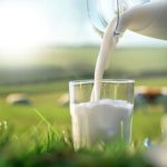 Crédito presumido: impacto real na cadeia láctea 📉 1 Mudanças no crédito presumido alteram incentivos e pressionam a cadeia láctea brasileira 📉