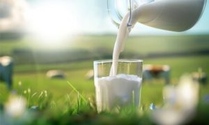 Mudanças no crédito presumido alteram incentivos e pressionam a cadeia láctea brasileira 📉