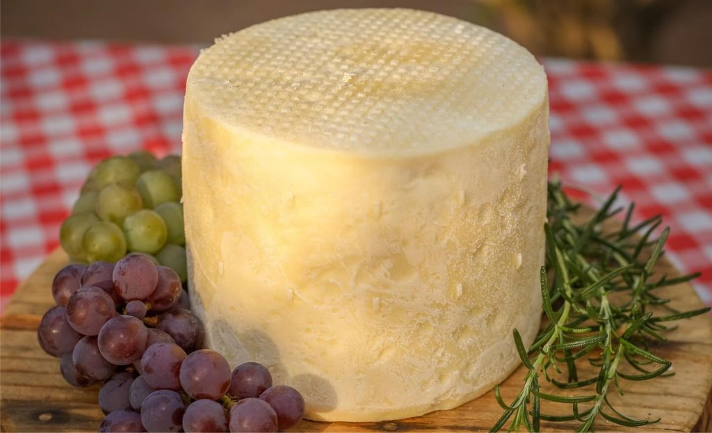 Com apoio público, pequena agroindústria familiar se consolida como referência de regularização sanitária. Queijaria Benê