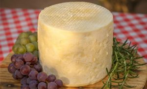 Com apoio público, pequena agroindústria familiar se consolida como referência de regularização sanitária. Queijaria Benê