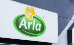Investimento histórico em queijo prevê 1 bi kg de leite por ano 📈 Arla