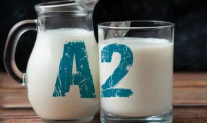 🐄 Leite A2 permite diferenciar a produção sem alterar metas de desempenho do rebanho.