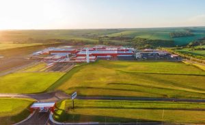 📊 Cooperativa aposta em proteína e conveniência para crescer em SP
