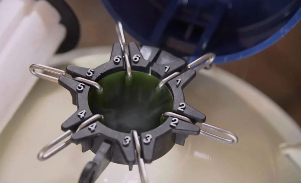 🚜 Uso de inseminação e genética mantém ritmo de expansão, mesmo com variações do ciclo pecuário