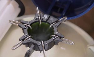 🚜 Uso de inseminação e genética mantém ritmo de expansão, mesmo com variações do ciclo pecuário