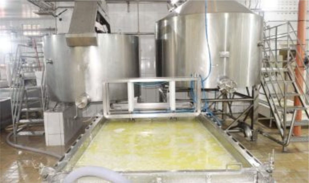 Com 18 anos de atuação, Laticínio Aleluia amplia impacto produtivo e regional