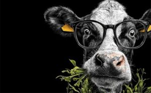 Estudo sensorial revela que o que a vaca come pode deixar o leite mais doce ou mais ácido 🧪 Sabor