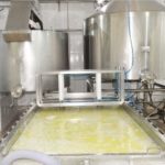 Com 18 anos de atuação, Laticínio Aleluia amplia impacto produtivo e regional