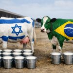 Produtividade leiteira expõe impacto direto da gestão, nutrição e ambiente produtivo 🌡️