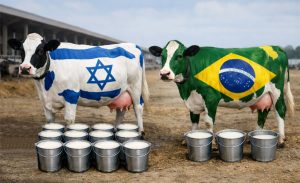 Produtividade leiteira expõe impacto direto da gestão, nutrição e ambiente produtivo 🌡️