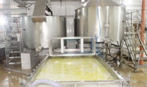 Com 18 anos de atuação, Laticínio Aleluia amplia impacto produtivo e regional