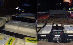 ⚠️ Além do queijo coalho, manteiga e requeijão também estavam irregulares no caminhão.