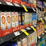 Enquanto Europa restringe o termo “leite”, Austrália e Nova Zelândia permitem seu uso em bebidas vegetais. Entenda o impacto regulatório.
