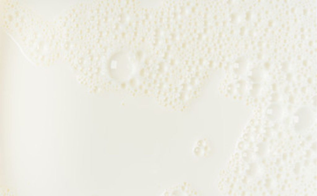 Entressafra e reajustes nos derivados fortalecem o mercado de leite spot 💰